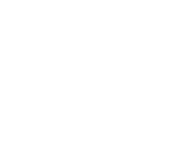 Stefanox